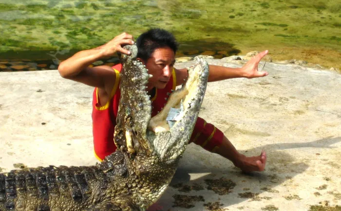 Такое страшно нестрашное понятие «проектные риски»