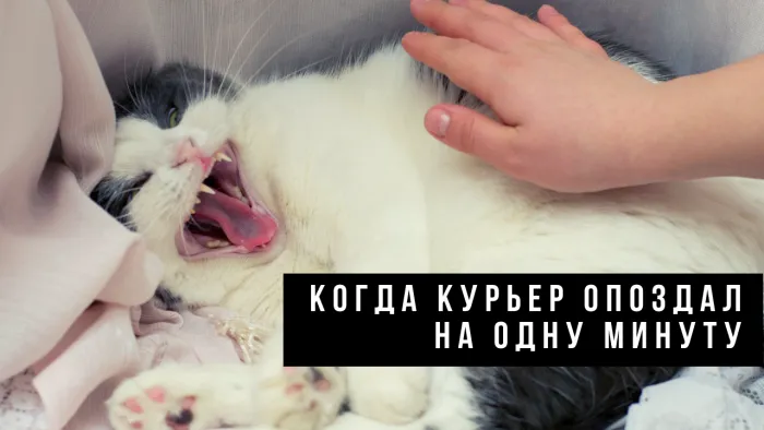 Как мы можем стать хорошими клиентами?